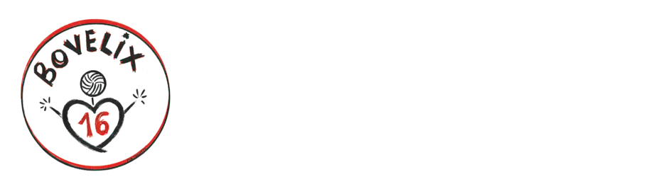 BOVELIX > Sito Ufficiale del torneo Bovelix🏐 In memoria di Vigor Bovolenta 📍Marina di Ravenna (RA) 🌊 Bagno Obelix